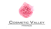 Logo cosmetic valley network