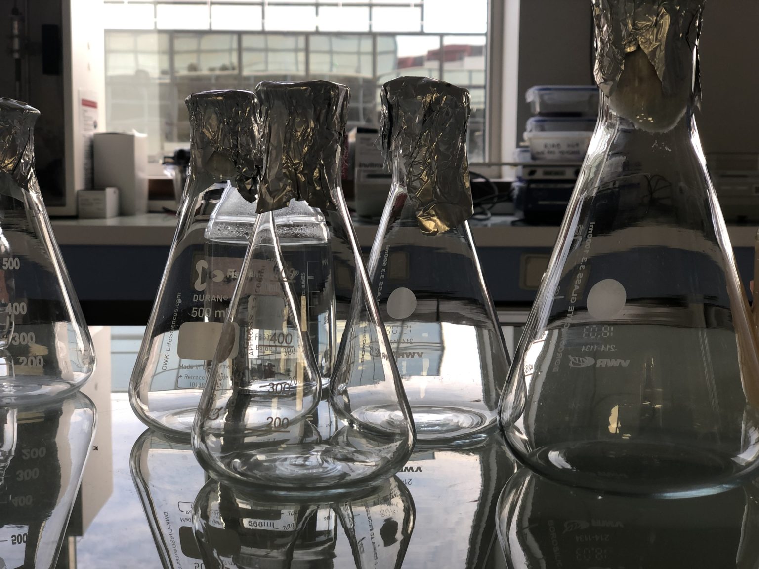 Choix des enseignements de spécialité Ecole Biologie Industrielle